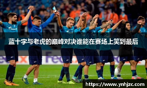易游易游蓝十字与老虎的巅峰对决谁能在赛场上笑到最后